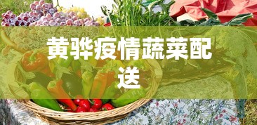 一分钟介绍使用“蛮王大厅有没有挂	”揭秘透视辅助万能挂
