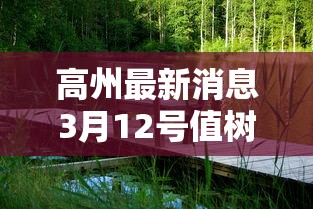 【重大消息】“佛手十三道怎么开挂”分享必要外挂教程