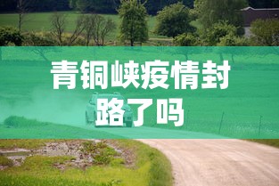 青铜峡疫情封路了吗