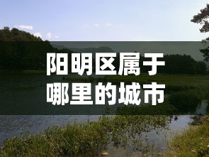 看完秒懂 ＂牛魔王牛牛有挂吗”附开挂脚本详细教程