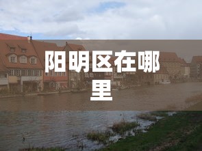 推荐十款“友局麻将怎么开挂”-玩家曝光开挂流程