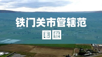 终于清楚“微乐陕西三带到底有没有挂”(详细透视教程)-