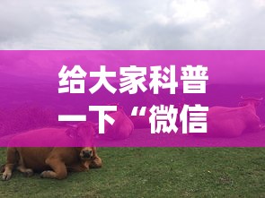 给大家科普一下“微信六人牛牛房有挂吗(确实真的有挂)-知乎