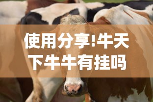 使用分享!牛天下牛牛有挂吗”(详细开挂教程)