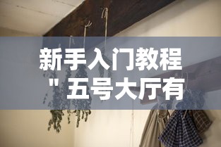 新手入门教程 ＂五号大厅有挂吗”-揭秘开挂教程分享