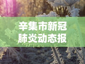 辛集市新冠肺炎动态报告查询
