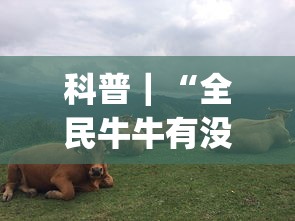 科普｜“全民牛牛有没有挂”(透视)其实确实有挂