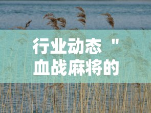 行业动态 "血战麻将的打法和技巧最新辅助详细教程 行业动态 "血战麻将的打法和技巧最新辅助详细教程