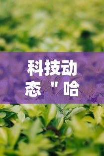 科技动态 ＂哈哈血战到底麻将开挂教程”详细辅助教程分享