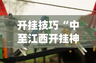 开挂技巧“中至江西开挂神器”(透视)其实确实有挂