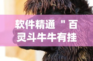 软件精通 ＂百灵斗牛牛有挂吗”(透视)其实真的有挂