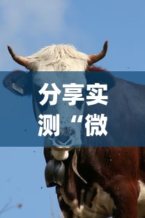分享实测“微信斗牛牛牛群有挂吗”(其实是有挂)