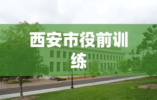 西安市役前训练 西安市役前训练