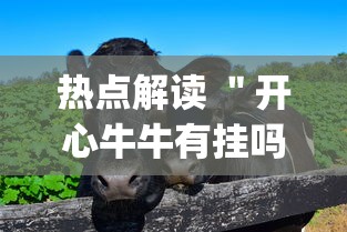 热点解读 ＂开心牛牛有挂吗”(果然有透视挂)