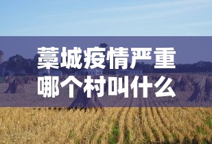 藁城疫情严重哪个村叫什么