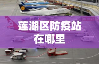 莲湖区防疫站在哪里